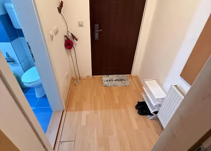 Διαμέρισμα Roof *